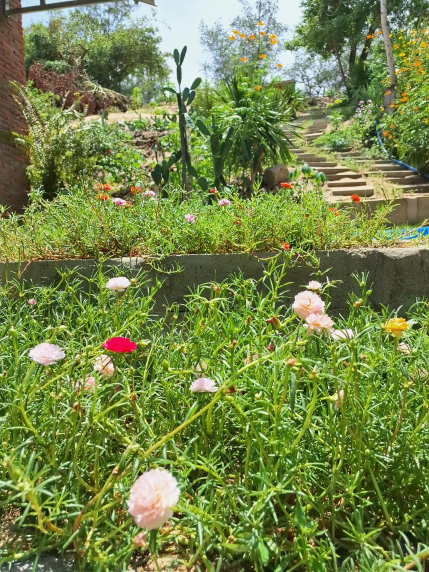 Homestay Dat Phu Tuy Hoa Exterior photo